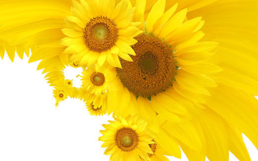 495519 (a): :1920x1200